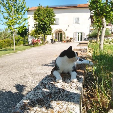 Le Piracante Caiazzo Esterno foto