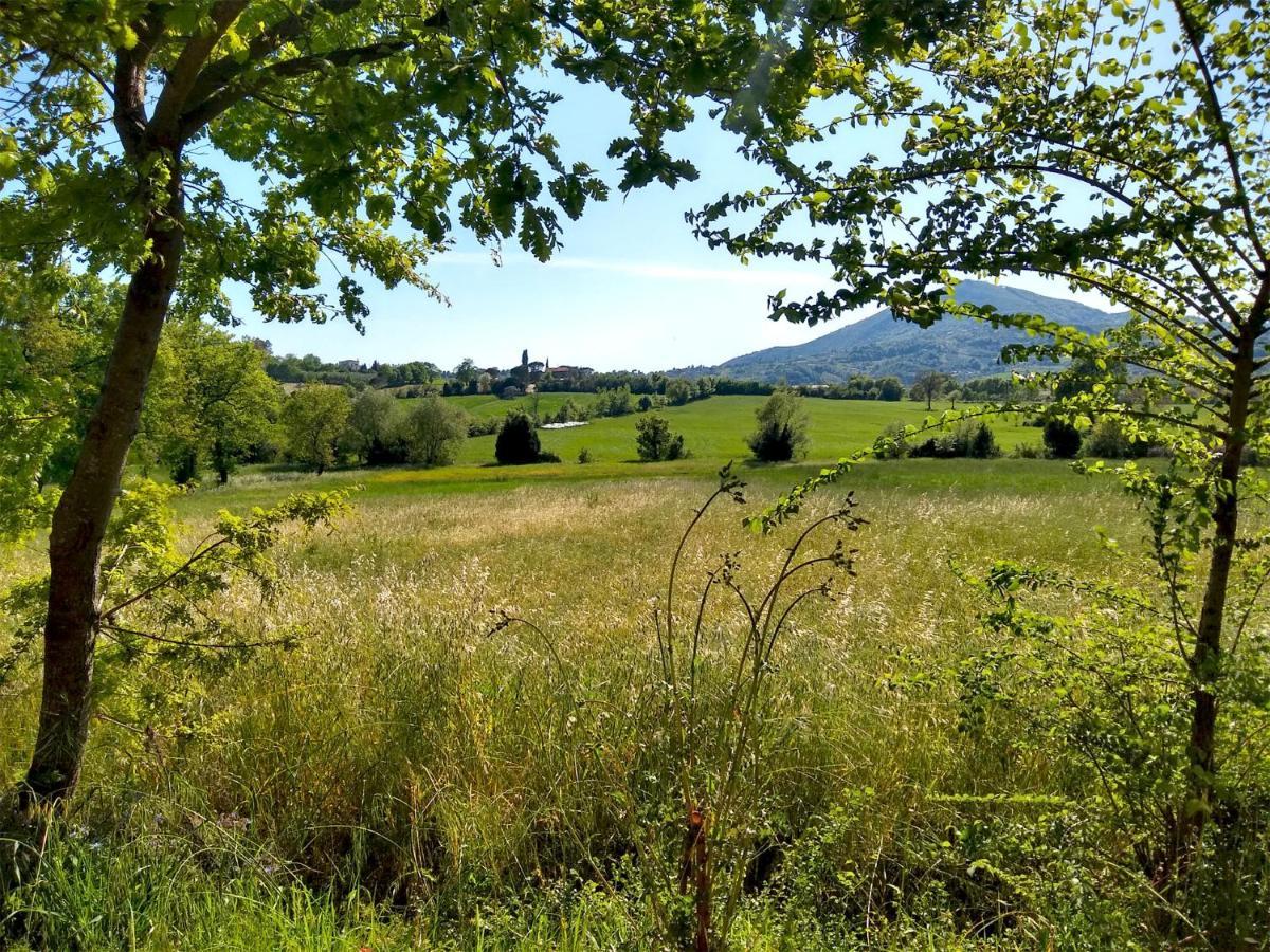 Le Piracante Caiazzo Esterno foto