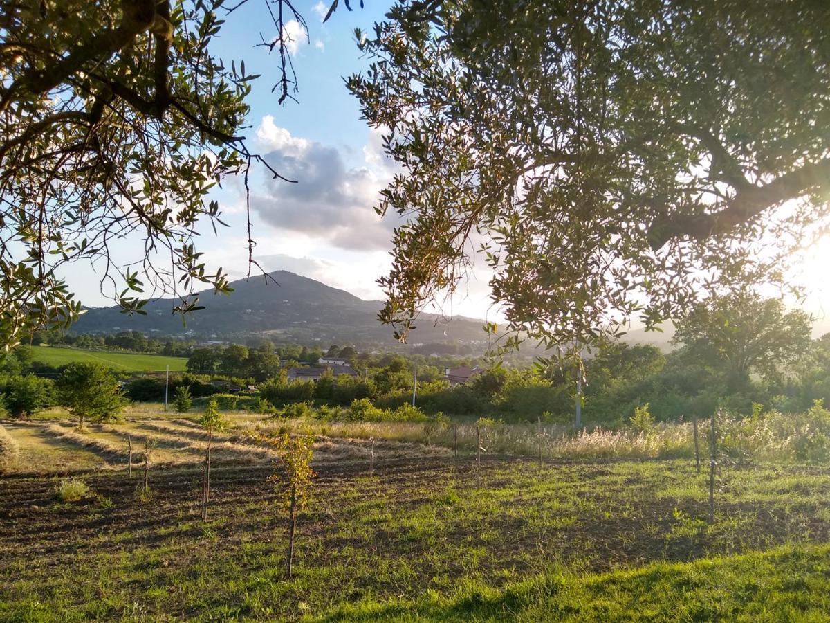 Le Piracante Caiazzo Esterno foto