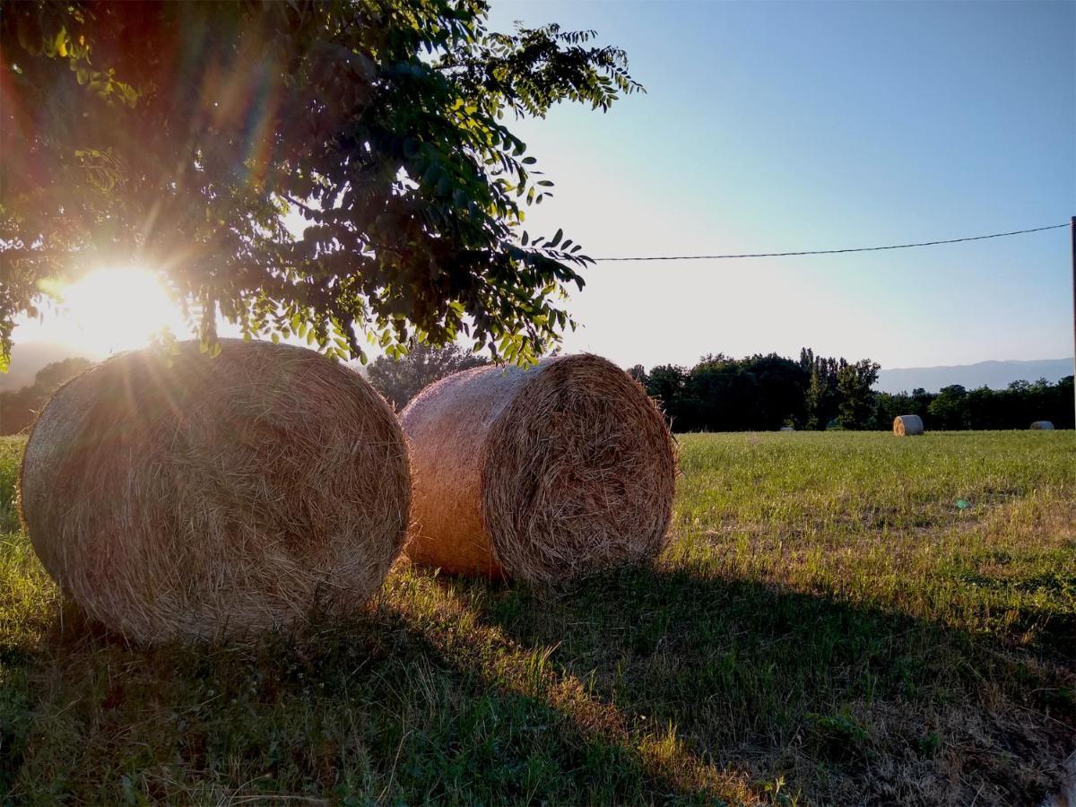 Le Piracante Caiazzo Esterno foto