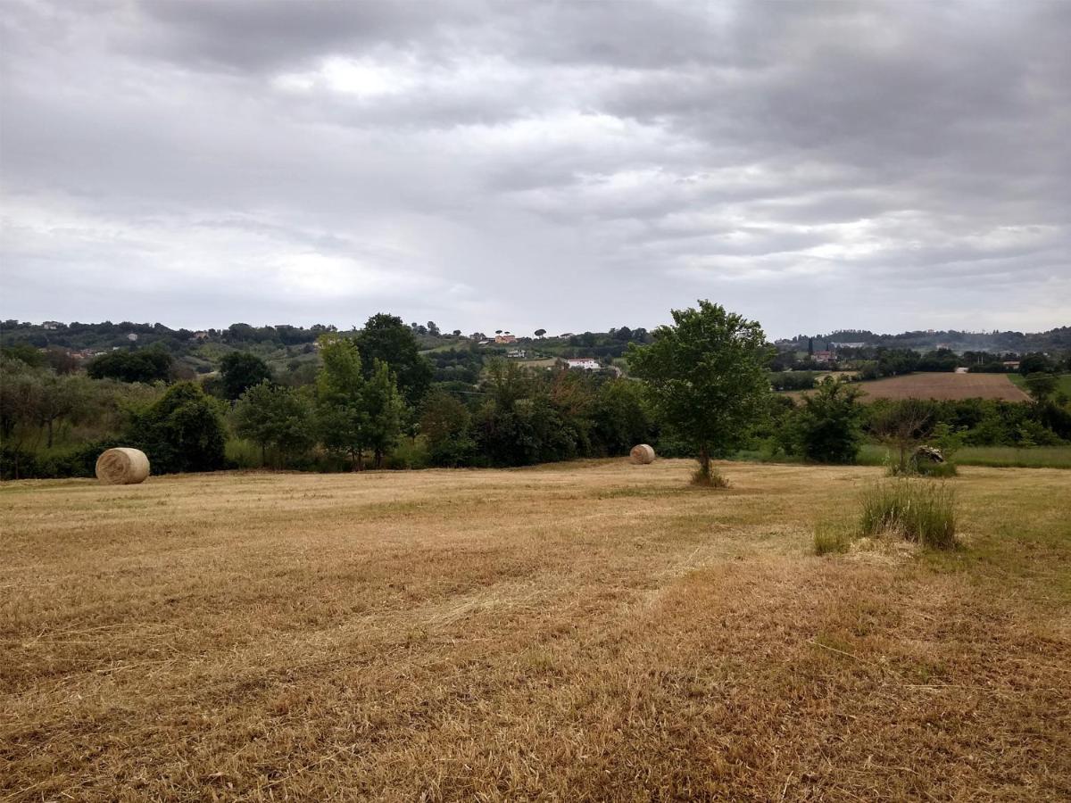 Le Piracante Caiazzo Esterno foto