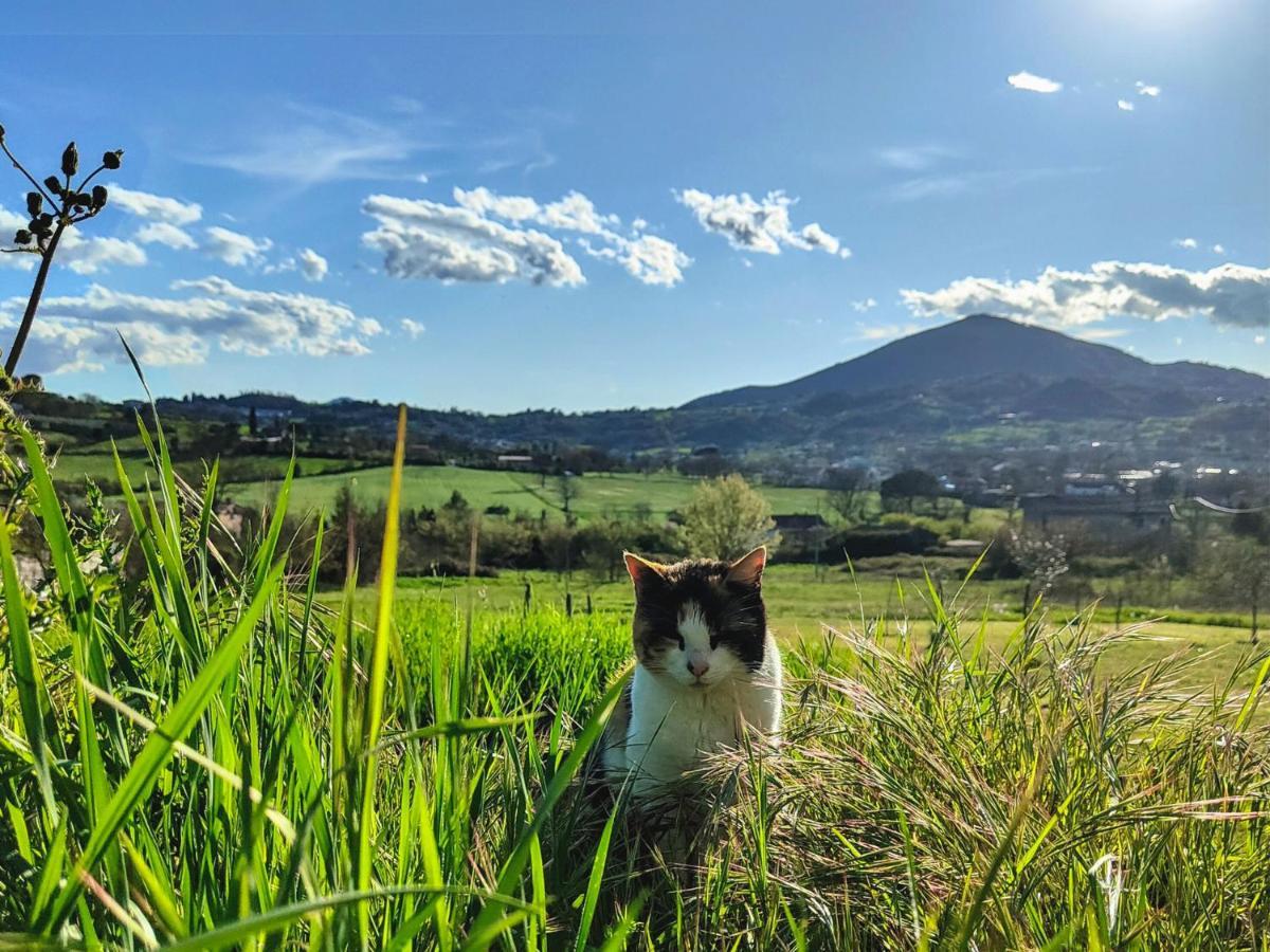 Le Piracante Caiazzo Esterno foto