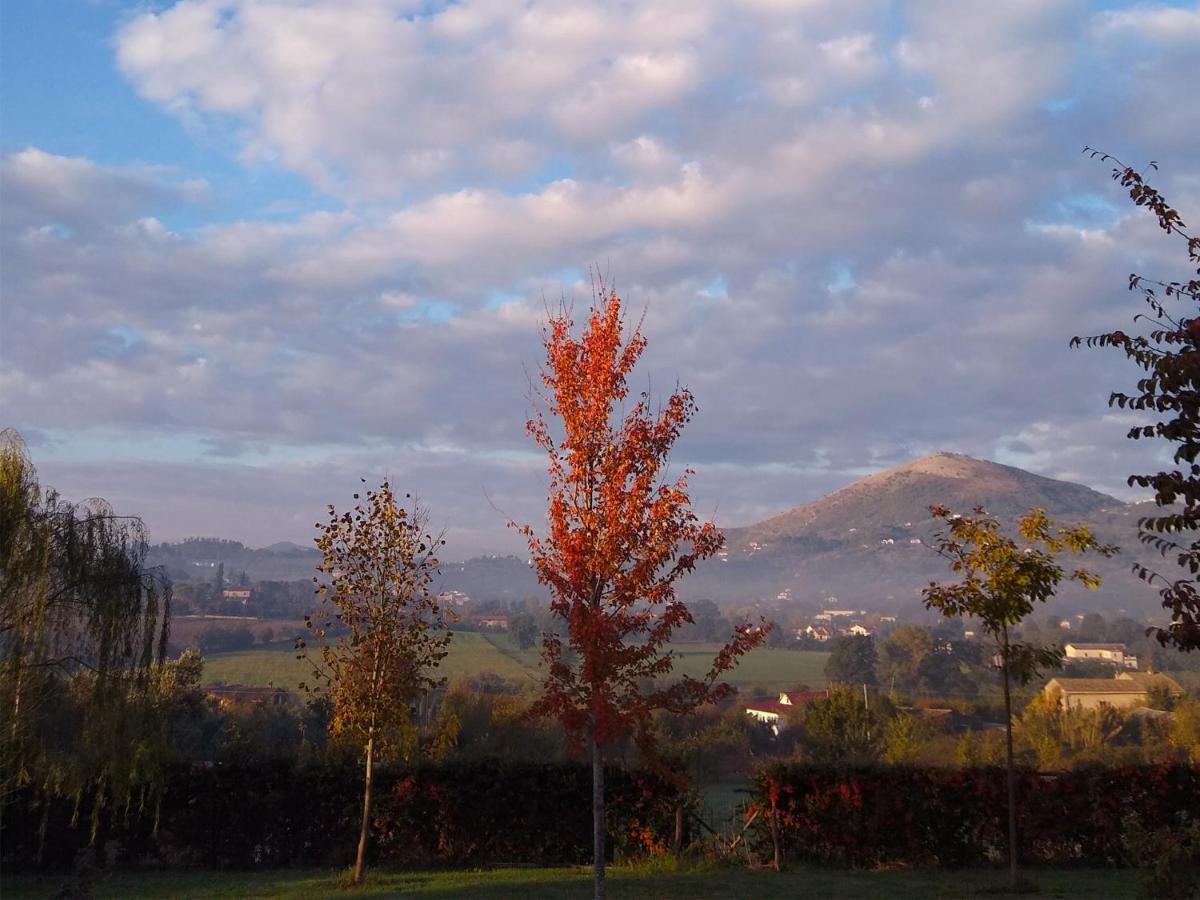 Le Piracante Caiazzo Esterno foto
